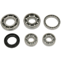 Picture of Hot Rods 01-08 Honda TRX 250 EX 250cc Transmission Bearing Kit