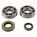 Picture of Hot Rods 03-04 Suzuki RM 250 250cc Main Bearing & Seal Kit