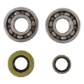 Picture of Hot Rods 03-04 Suzuki RM 250 250cc Main Bearing & Seal Kit