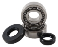 Picture of Hot Rods 04-05 KTM 50 SX PRO SR 50cc Main Bearing & Seal Kit