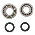 Picture of Hot Rods 04-05 Honda TRX 450 ER 450cc Main Bearing & Seal Kit