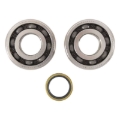Picture of Hot Rods 05-07 Suzuki RM-Z 450 450cc Main Bearing & Seal Kit