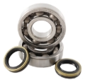 Picture of Hot Rods 05-08 Suzuki RM 250 250cc Main Bearing & Seal Kit