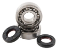 Picture of Hot Rods 05-20 Yamaha YZ 125 125cc Main Bearing & Seal Kit