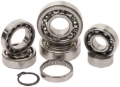 Picture of Hot Rods 06-08 Kawasaki KX 250 F 250cc Transmission Bearing Kit
