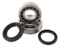 Picture of Hot Rods 06-09 Honda TRX 450 R 450cc Main Bearing & Seal Kit