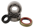 Picture of Hot Rods 09-12 KTM 50 SX 50cc Main Bearing & Seal Kit