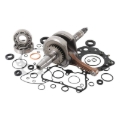 Picture of Hot Rods 12-13 Honda TRX 420 FM 420cc Bottom End Kit