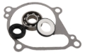 Picture of Hot Rods 12-21 Kawasaki KVF 750 Brute Force 4x4i 750cc Water Pump Kit
