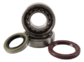 Picture of Hot Rods 13-15 KTM 250 SX-F 250cc Main Bearing & Seal Kit