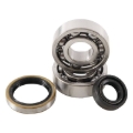 Picture of Hot Rods 13-21 KTM 50 SX 50cc Main Bearing & Seal Kit