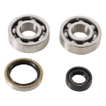Picture of Hot Rods 13-21 KTM 50 SX 50cc Main Bearing & Seal Kit