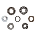 Picture of Hot Rods 15-17 KTM 250 SX-F Factory 250cc Transmission Bearing Kit
