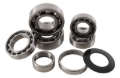 Picture of Hot Rods 2006 Honda CRF 250 R 250cc Transmission Bearing Kit