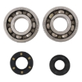 Picture of Hot Rods 87-01 Kawasaki KX 250 250cc Main Bearing & Seal Kit