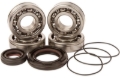 Picture of Hot Rods 87-06 Yamaha YFZ 350 Banshee 350cc Main Bearing & Seal Kit