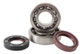 Picture of Hot Rods 88-06 Yamaha YFS 200 Blaster 200cc Main Bearing & Seal Kit