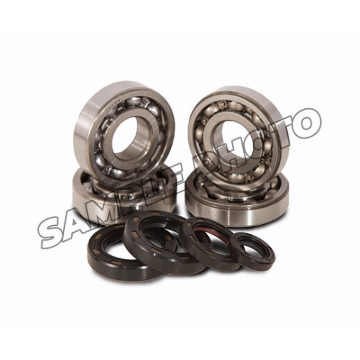 Picture of Hot Rods 88-92 Suzuki LT 250 R 250cc Main Bearing & Seal Kit