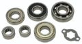 Picture of Hot Rods 88-06 Yamaha YFS 200 Blaster 200cc Transmission Bearing Kit