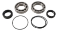 Picture of Pivot Works 03-13 Kawasaki KVF360A Prairie 4x4 Rear Wheel Bearing Kit