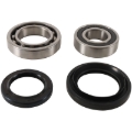 Picture of Pivot Works 00-05 Yamaha YFM35FX Wolverine Rear Wheel Bearing Kit