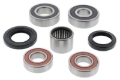 Picture of Pivot Works 99-03 Yamaha XV1600 Road Star Rear Wheel Bearing Kit