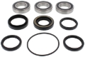 Picture of Pivot Works 97-01 Honda TRX250 Recon Rear Wheel Bearing Kit