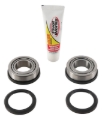 Picture of Pivot Works 2017 Beta RR-S 4T 125 Steering Stem Bearing Kit