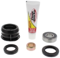 Picture of Pivot Works 06-14 Honda TRX450ER Steering Stem Bearing Kit
