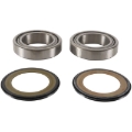 Picture of Pivot Works 21-22 Aprilia RS 660 Steering Stem Bearing Kit