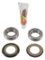 Picture of Pivot Works 14-17 Honda CRF250R Steering Stem Bearing Kit