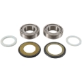 Picture of Pivot Works 83-87 Honda ATC200X Steering Stem Bearing Kit