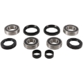 Picture of Pivot Works 07-13 Honda TRX420 TE Front Wheel Bearing Kit