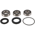Picture of Pivot Works 06-08 Kawasaki EX 650R Rear Wheel Bearing Kit