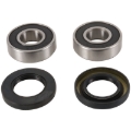Picture of Pivot Works 06-07 BMW G650X MOTO Front Wheel Bearing Kit