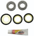 Picture of Pivot Works 93-95 Yamaha YZ125 Steering Stem Bearing Kit