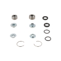 Picture of Pivot Works 19-22 Beta RR 2T 200 Rear Shock Bearing Kit