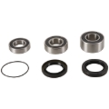 Picture of Pivot Works 00-01 Honda CBR929RR Rear Wheel Bearing Kit