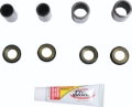 Picture of Pivot Works 87-04 Kawasaki KFX250 Mojave Swing Arm Kit