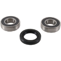 Picture of Pivot Works 97-99 Suzuki DR350 Front Wheel Bearing Kit
