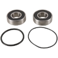 Picture of Pivot Works 87-07 Honda VT1100C Rear Wheel Bearing Kit