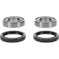 Picture of Pivot Works  E-TON IXL-40 Rascal Rear Wheel Bearing Kit