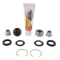 Picture of Pivot Works 96-97 Honda XR400R Rear Shock Bearing Kit
