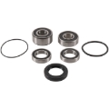 Picture of Pivot Works 2014 Honda CTX1300 Rear Wheel Bearing Kit