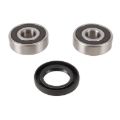 Picture of Pivot Works 73-76 Honda CR250 Front Wheel Bearing Kit