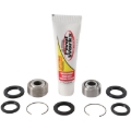 Picture of Pivot Works 1994 Honda CR250R Rear Shock Bearing Kit
