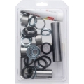 Picture of Pivot Works 07-14 Yamaha WR250F Linkage Bearing Kit