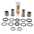 Picture of Pivot Works 04-05 Kawasaki KX250F Swing Arm Kit