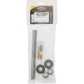 Picture of Pivot Works 19-23 Honda CRF250F Swing Arm Kit
