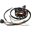 Picture of Arrowhead 2003 Polaris Sportsman 400 4x4 Stator Coil